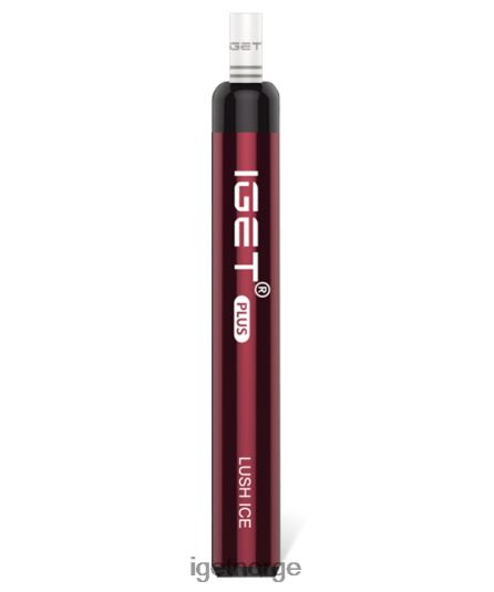 IGET Bar Store pluss F0B4P833 frodig is