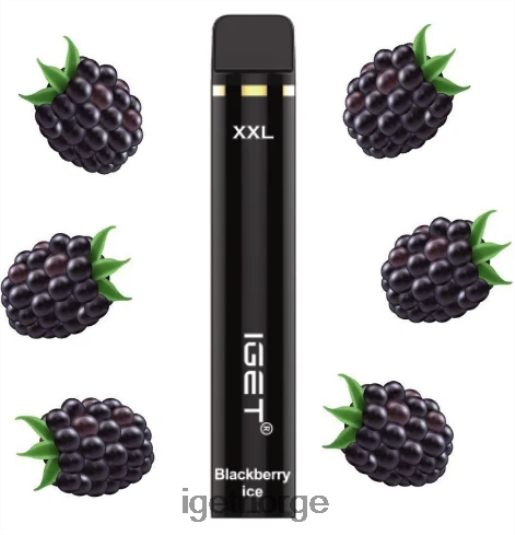 IGET Sale xxl - 1800 drag F0B4P8542 bjørnebæris