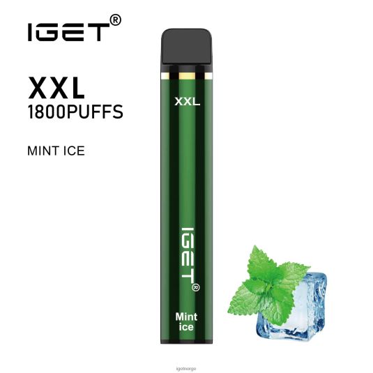 IGET Bar Store xxl F0B4P863 mynteis