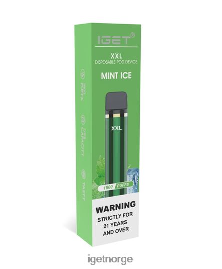 IGET Bar Store xxl F0B4P863 mynteis