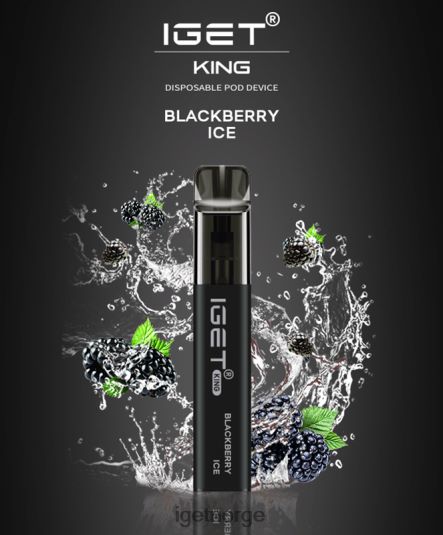 IGET Vape Online konge - 2600 drag F0B4P8554 bjørnebæris