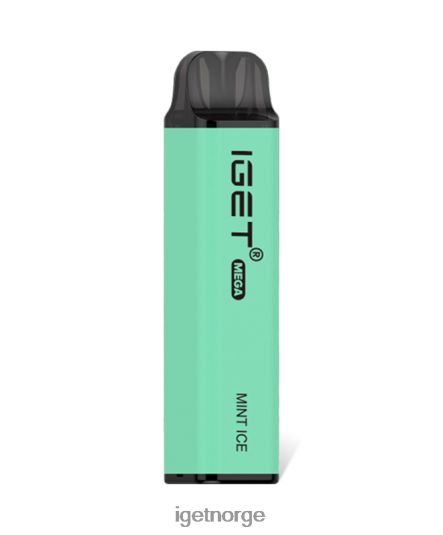 IGET Vape mega F0B4P8134 mynteis