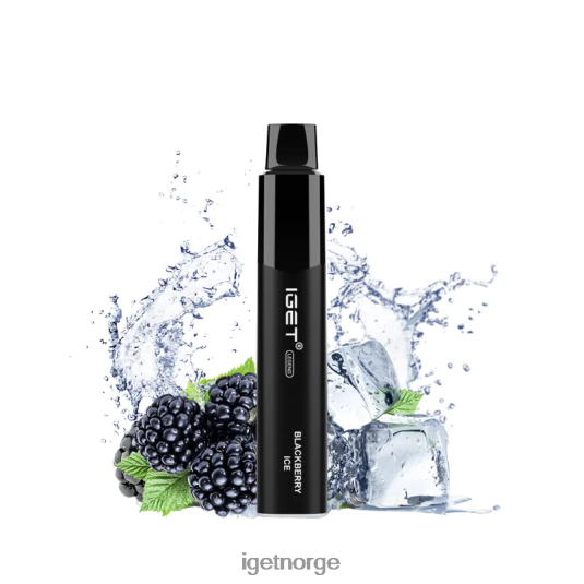IGET Vape legend 4000 puff F0B4P8324 bjørnebæris