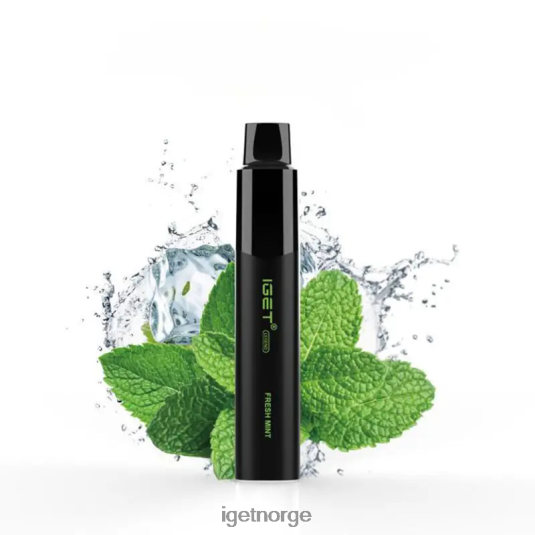 IGET Bar Vape Online legend 4000 puff F0B4P8326 frisk Mint