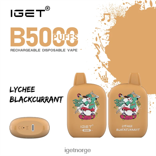 IGET Sale b5000 F0B4P8309 litchi solbær