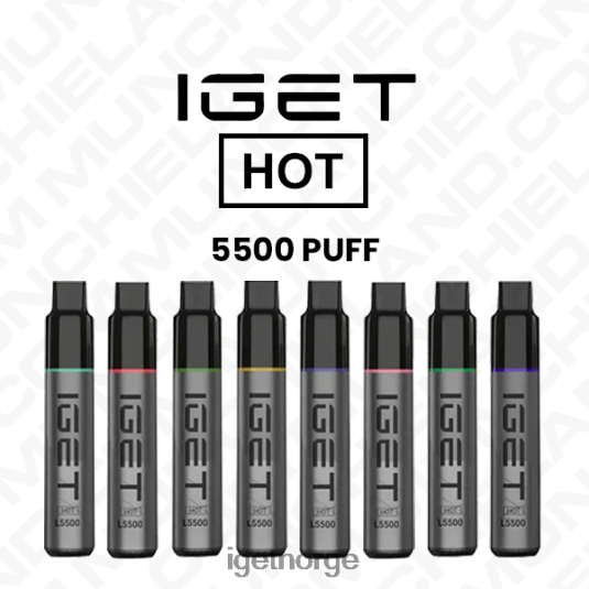 IGET Vape Sale hot disponibel vape engros (5500 puffs) F0B4P8612