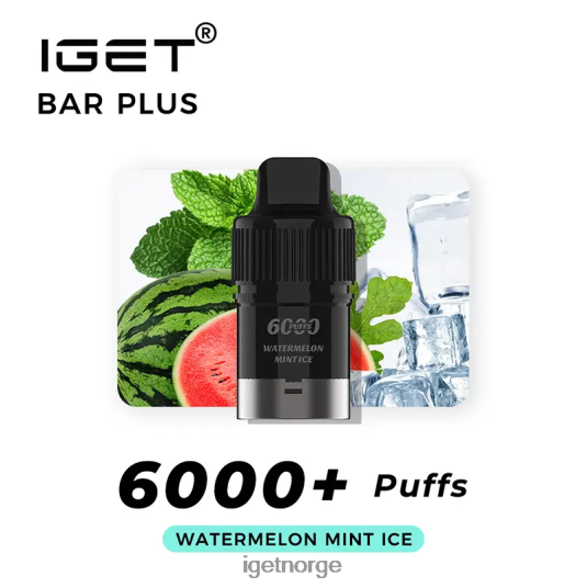 IGET Bar Vape Online nikotinfri bar pluss pod 6000 puff F0B4P8381 vannmelon mynte is